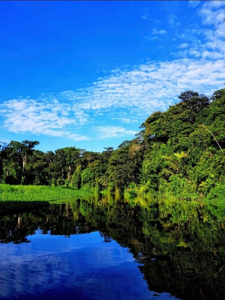 Reflejo del cielo
