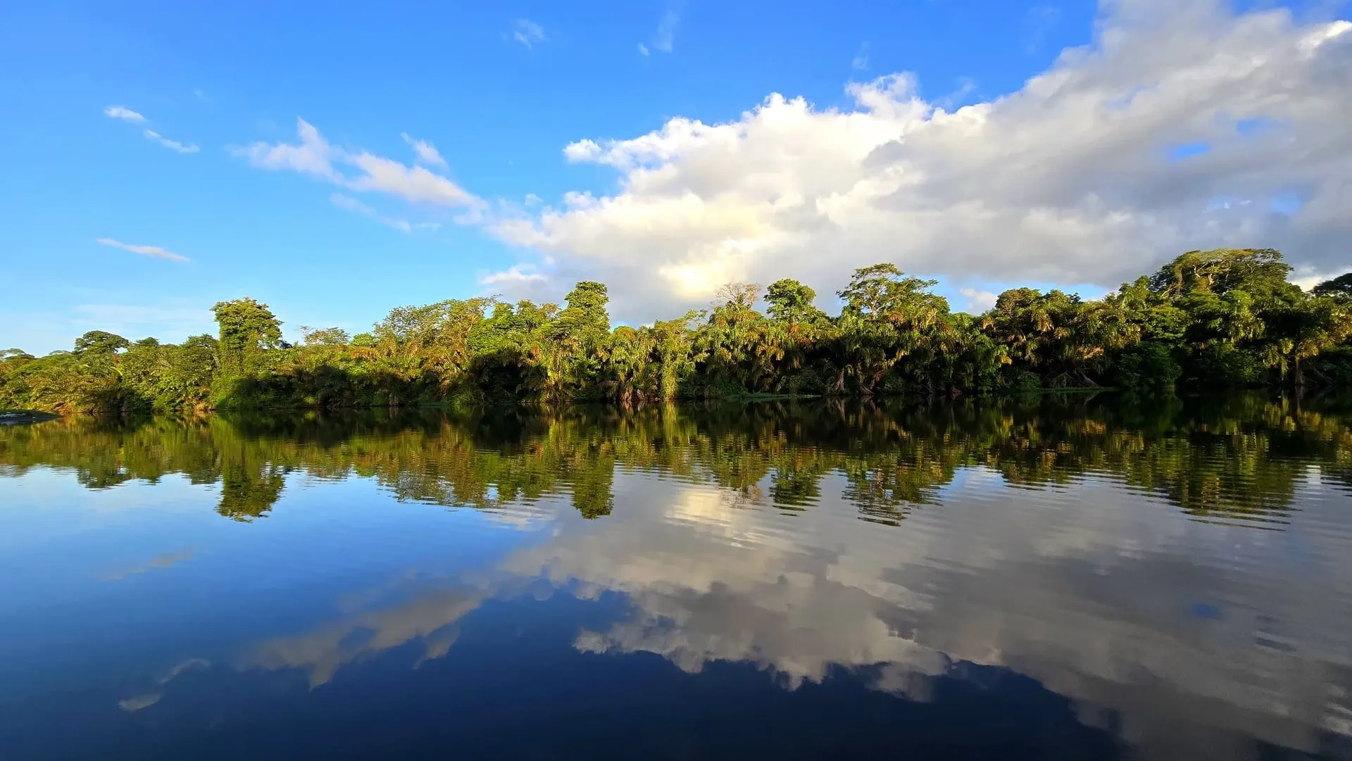 Canal de Tortuguero en calma reflejando selva y cielo