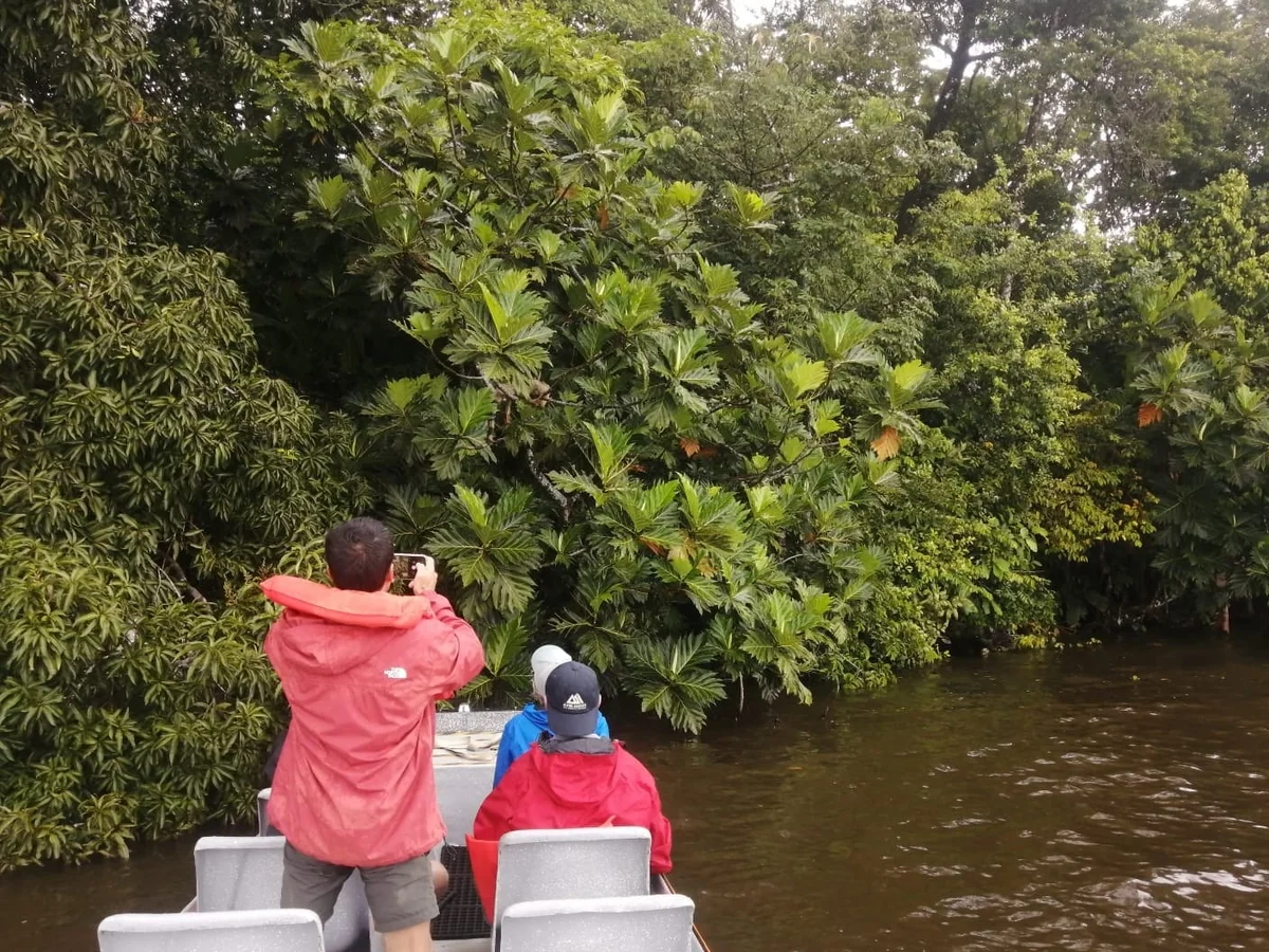 Turista tomando fotos desde el bote en el canal